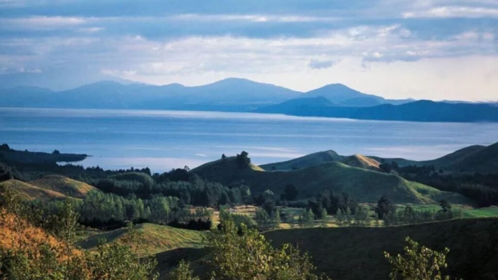 Taupō Sculpture Park is located near Lake Taupō, on New Zealand's North Island: Getty Images