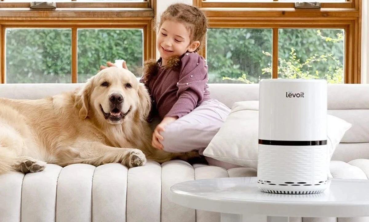 Air Purifier
