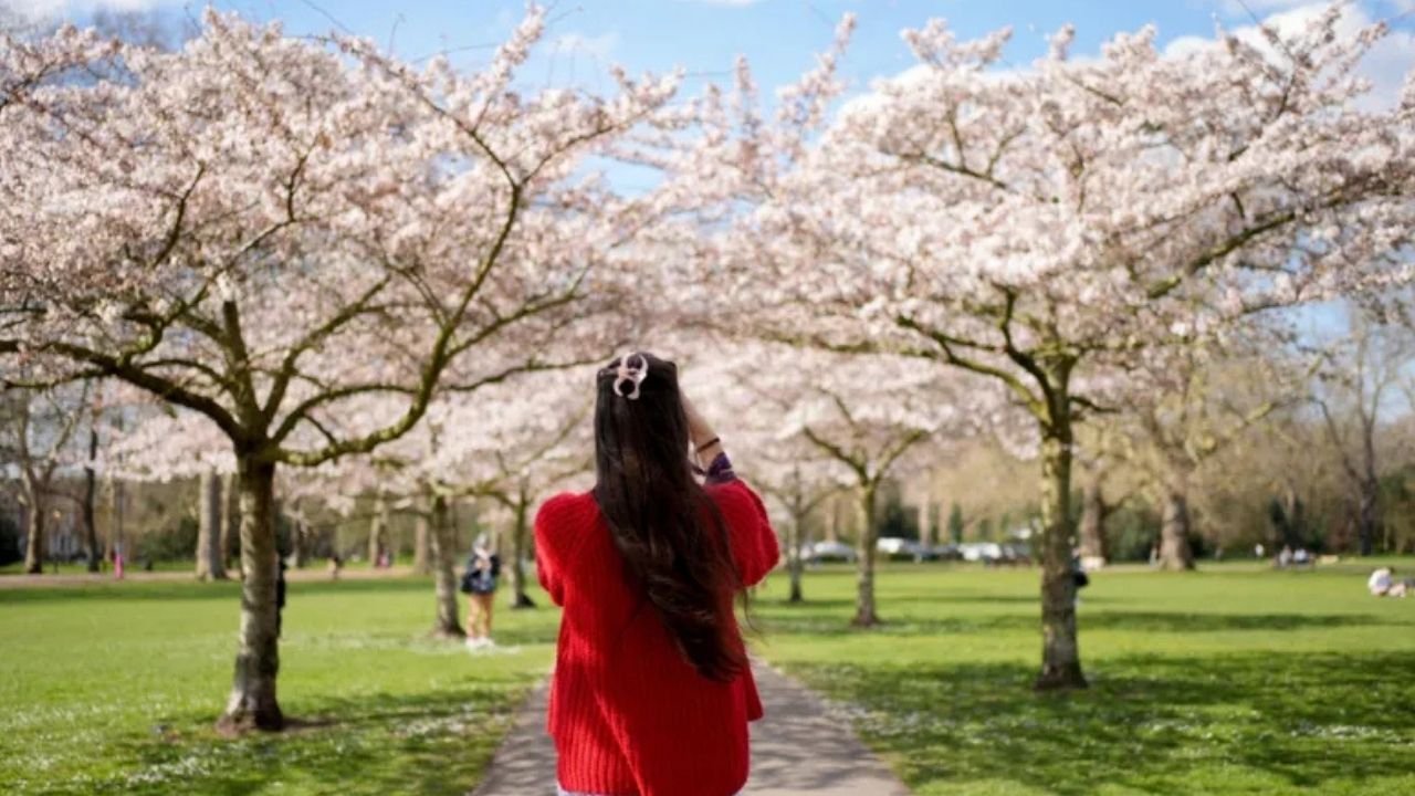 UK Warmest Spring on Record: Signs of a Changing Climate - The News Times