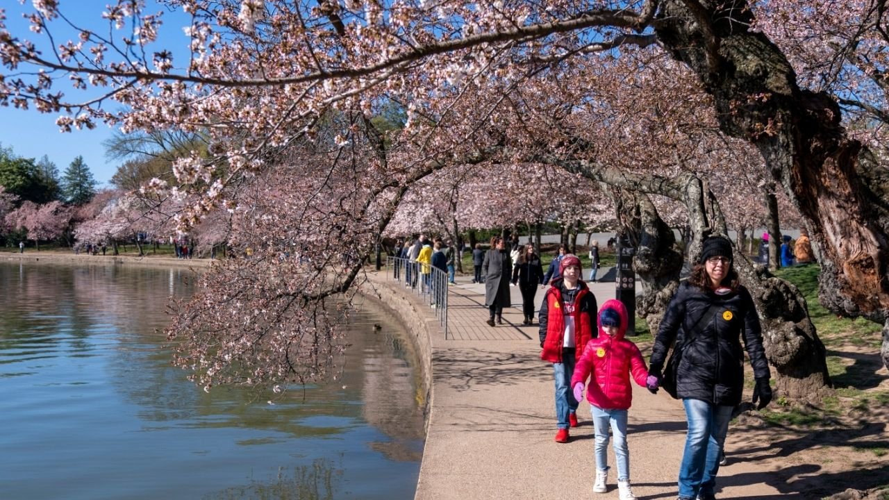 UK warmest spring on record