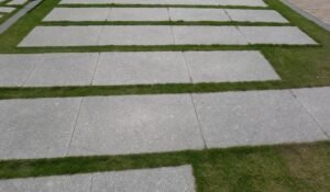 Professional Asphalt Paving Proposal