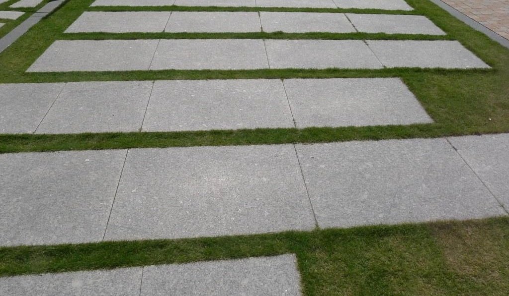 Professional Asphalt Paving Proposal